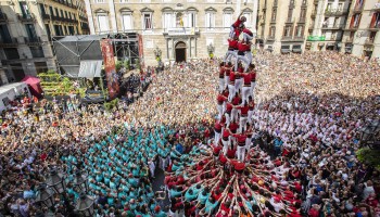 Busquem manager de projecte per a l'impuls del cooperativisme en el territori català!