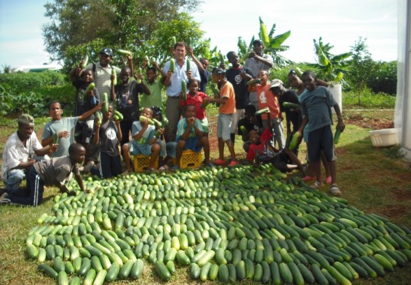 Imagen de cabecera de APRENDE Y EMPRENDE LA PRODUCCIÓN DE HORTALIZAS