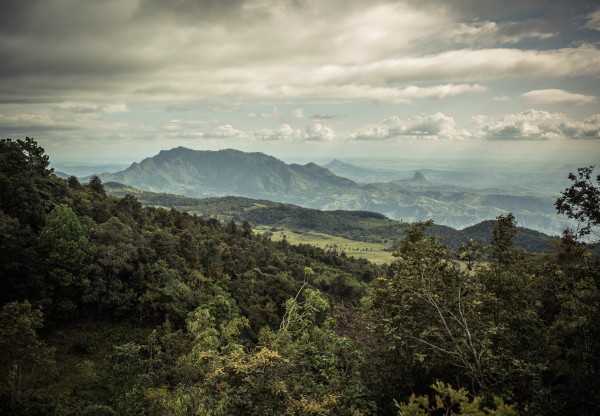 Imagen de cabecera de Lum Ha’: La Odisea ambiental