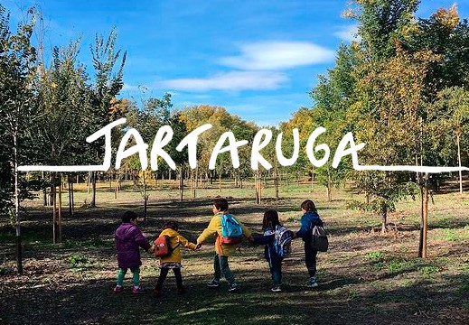 Imagen de cabecera de La Rebeldía de Tartaruga en Poemas