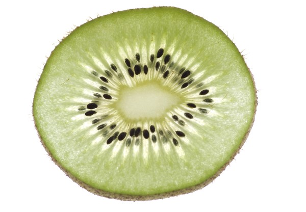 Imagen de cabecera de Kiwis ecològics de proximitat