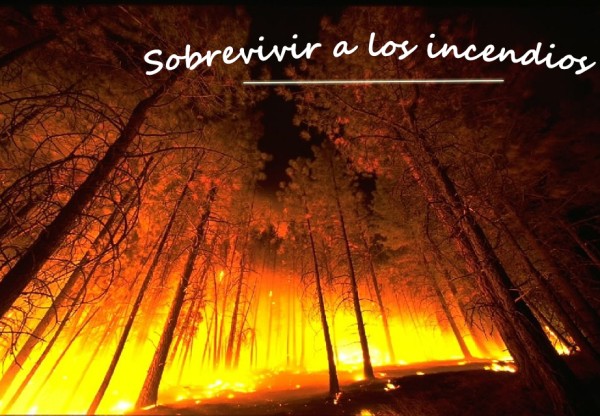 Imagen de cabecera de SOBREVIVIR A LOS INCENDIOS