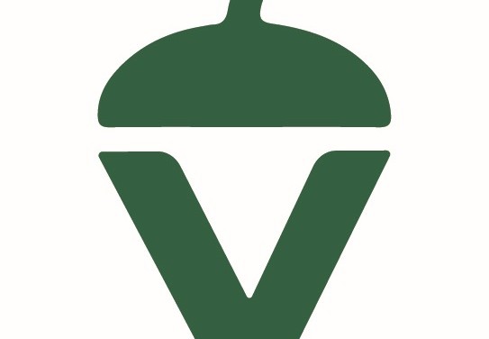 La Voz de Extremadura: nuevo periodismo para Extremadura's header image