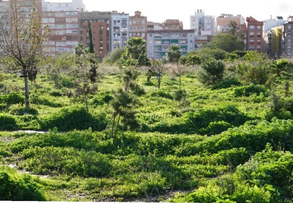 Imagen de cabecera de Bosque Urbano Málaga
