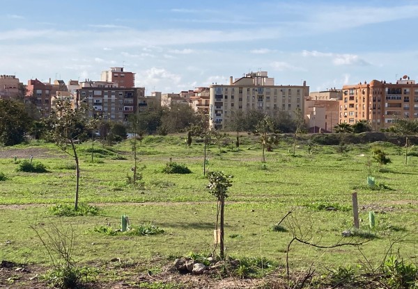 Bosque Urbano Málaga's header image