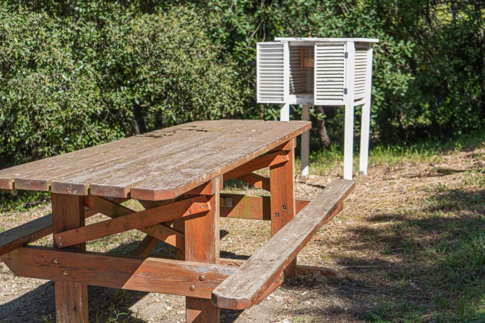 dsc00617.jpg