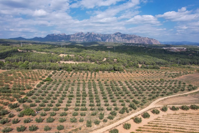 imagen-de-whatsapp-2023-10-04-a-las-19.28.30-7b50c