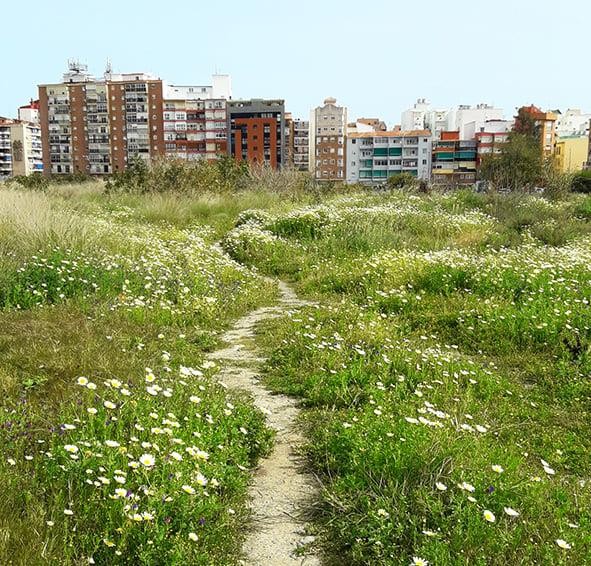 108149692-1184058591933912-4973678772480216333-n.j