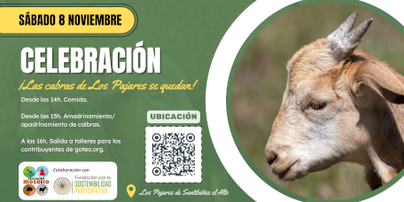 8 Noviembre: Fiesta de convivencia y celebración. Programa.