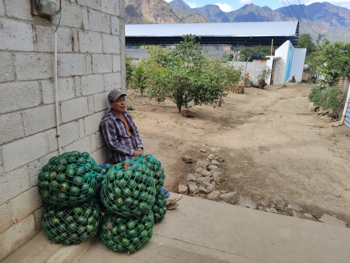 Se perdieron las cosechas, ayúdanos a que puedan volver a cultivar y cosechar.