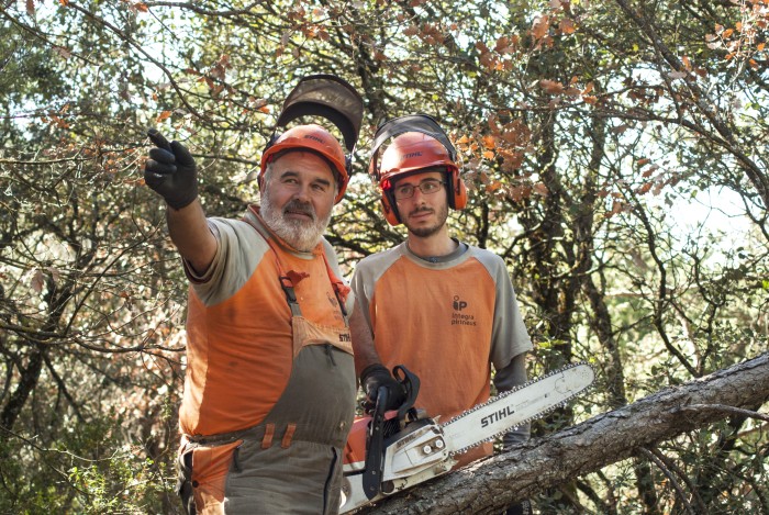 SEGUIM DONANT VIDA AL BOSC