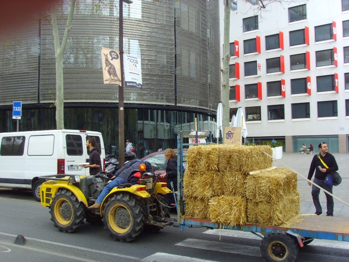 ¡Fiesta Primavera! llega la Paja